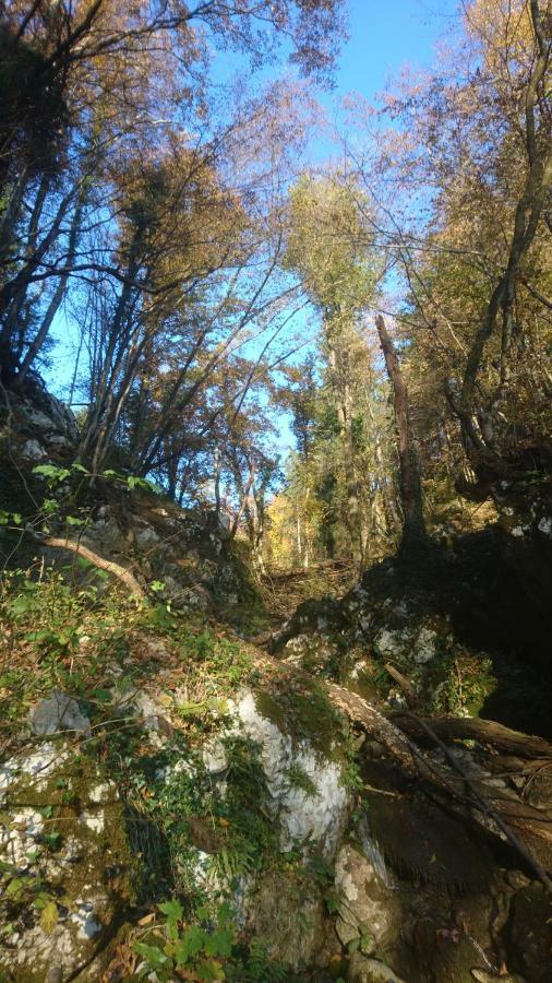Apartment Sovdat Tolmin Εξωτερικό φωτογραφία